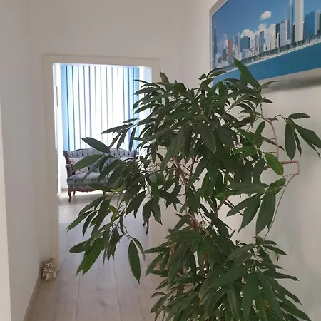 Marumparkblick Apartment